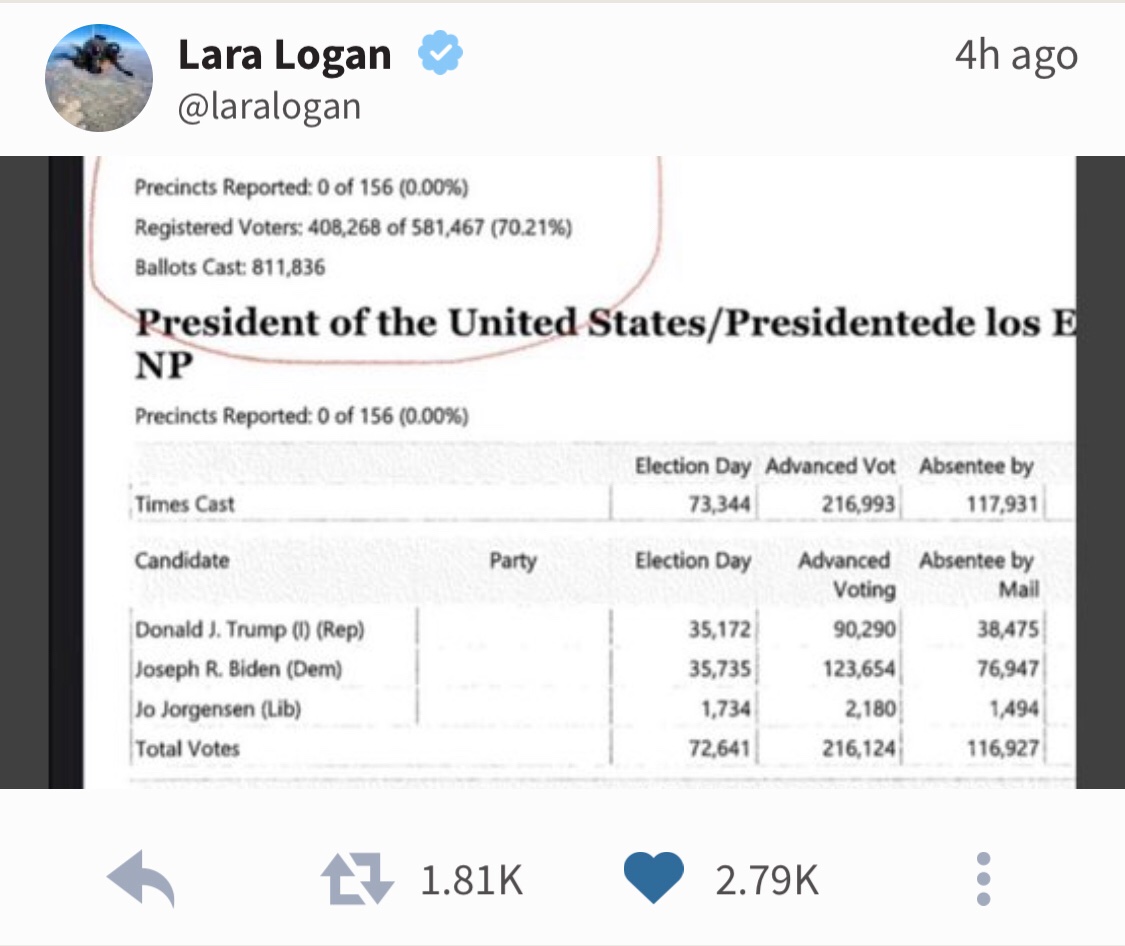 Gwinnett County GA - Voter Fraud