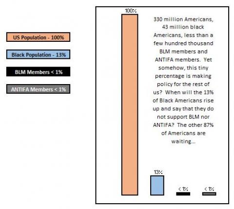 BLM and ANTIFA make up less than 1% of the population