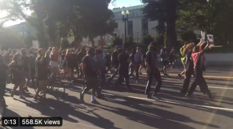 BLM and ANTIFA make up less than 1% of the population