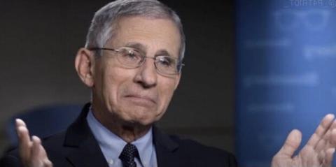 Fauci Lied - Should Be In Jail