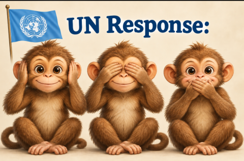  UN - useful idiots