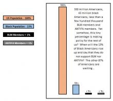 BLM and ANTIFA make up less than 1% of the population